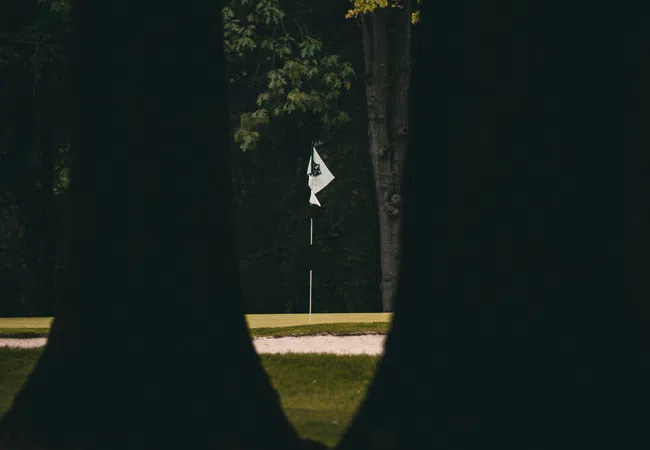Golf hole flag visible between two large tree trunks on a lush green course under soft light.