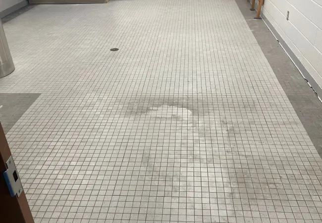 Empty room with tiled floor, blue cabinets, a wooden easel, and a blue paw print logo on the wall