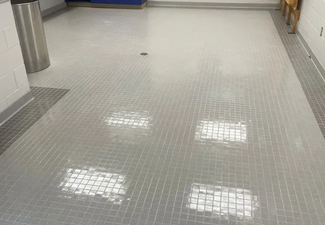 Clean room with shiny tiled floor, blue cabinets, white walls, and a blue paw print logo on the wall.