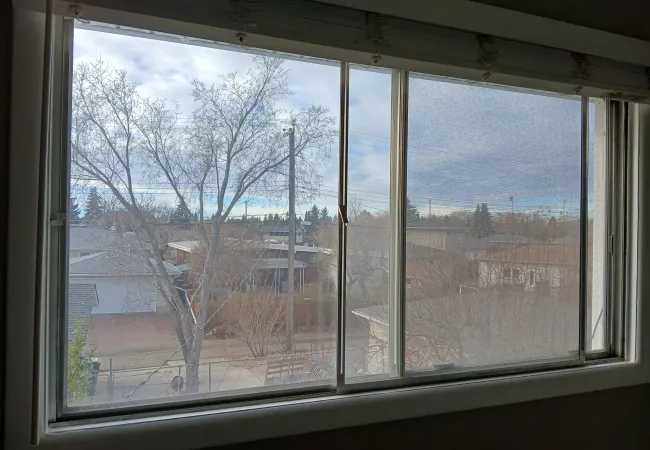 a window with snow outside