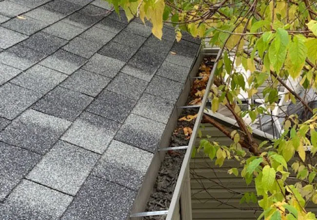 a stone walkway with plants on the side