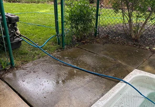 Garden area with green chain-link fence, wet concrete patio, garden hose, and white plastic water container outdoors.