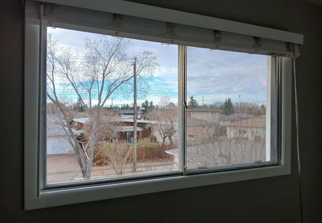 a window with a view of trees and buildings