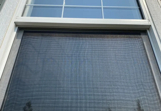 a window with a shadow