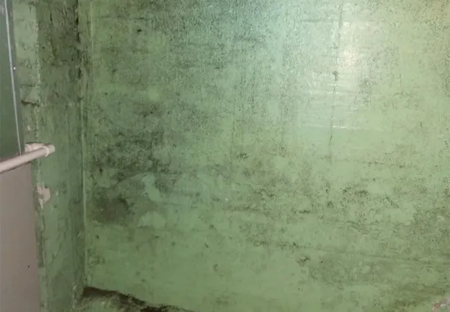Green painted basement wall with visible black mold and exposed metal ductwork in corner of room.