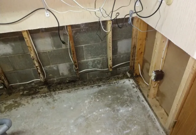 Wall studs and floor base show water damage and mold in a basement with exposed wiring and concrete floor.