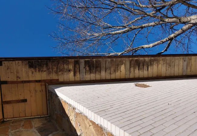 White shingled roof with damage, brown stone wall, and black mold on wooden eaves under a clear blue sky with tree branches.