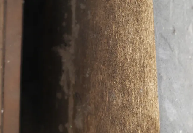 Close-up of a textured wooden surface with dark shadowed background and gray concrete edge visible.