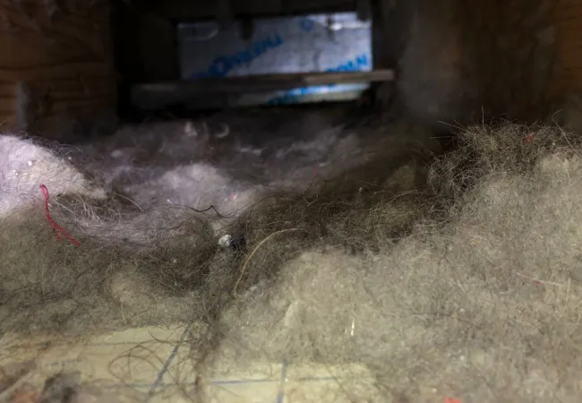 Dusty, hairy air duct interior with wooden framing and insulation visible inside a narrow ventilation shaft.