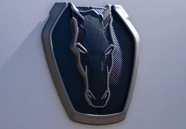 Close-up of a horse head emblem on a shield-shaped badge with textured background on a white surface.