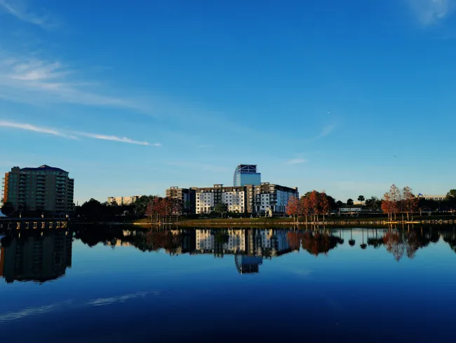 The Best SEO Agency for Altamonte Springs, FL Businesses