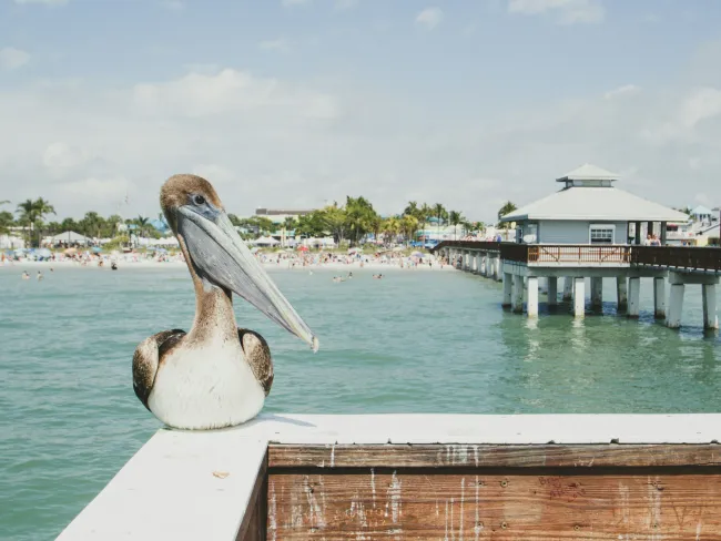 The Best SEO Agency for Fort Myers, FL Businesses