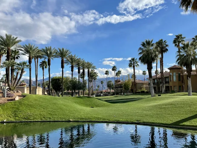 The Best SEO Agency for Palm Desert, CA Businesses