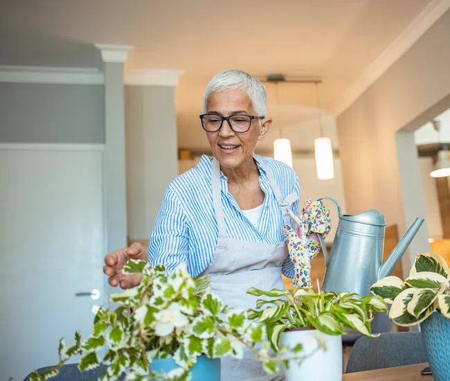 Elderly woman with gray hair and glasses tending to indoor potted plants in a bright living room.