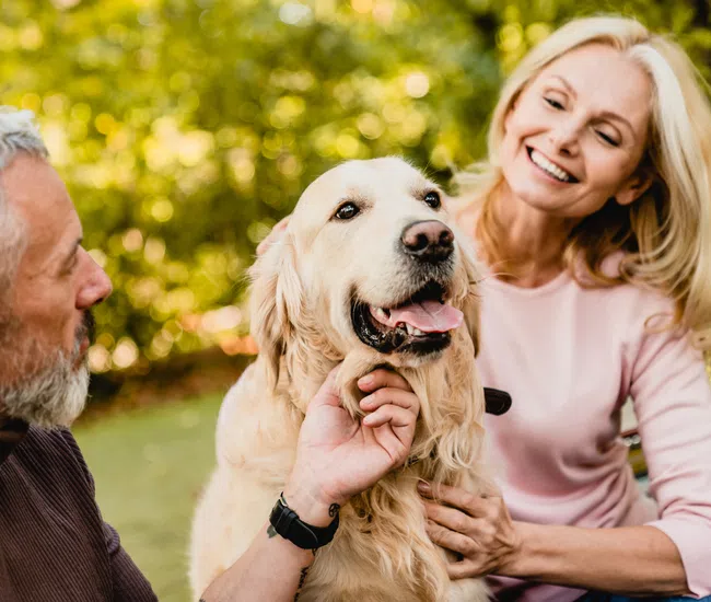 Senior couple smiling and petting a happy golden retriever dog outdoors in a garden.