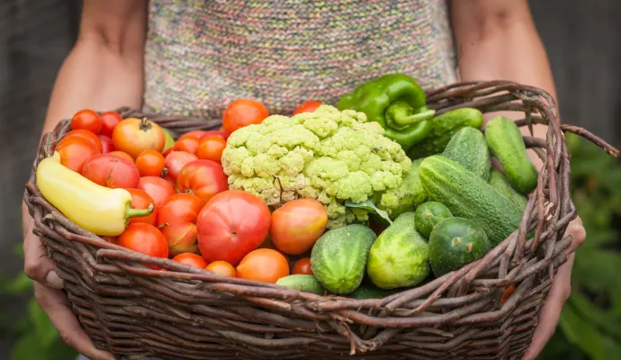 women holding a basket of tomatoes, cucumbers, cauliflower and peppers from the garden