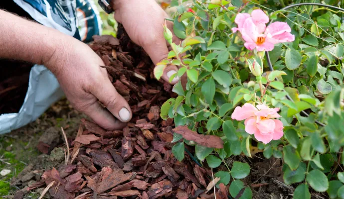 a person planting flowers