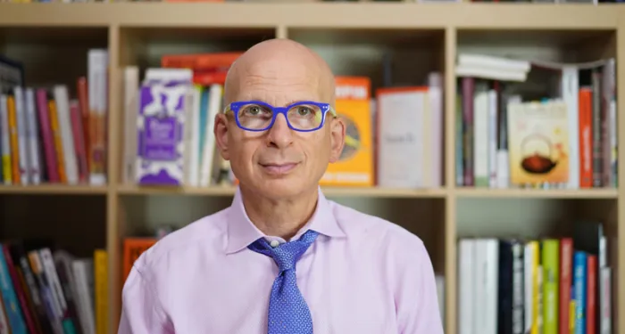Image for Seth Godin: Rules for Success, Failure, and Creating Possibility