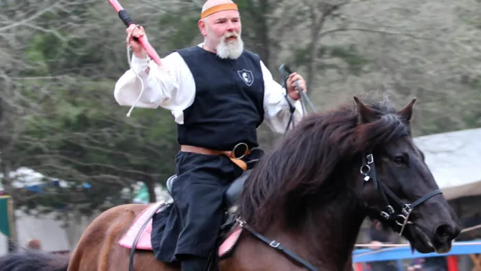 a person riding a horse holding a sword
