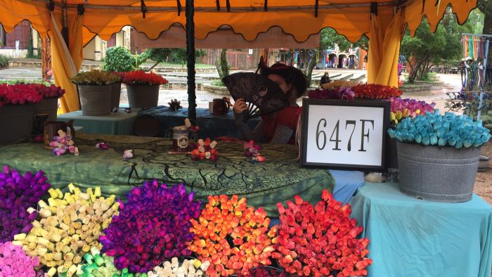 a colorful flower garden