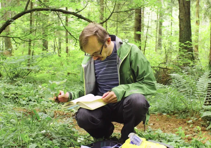 A man reading a field guide in the woods