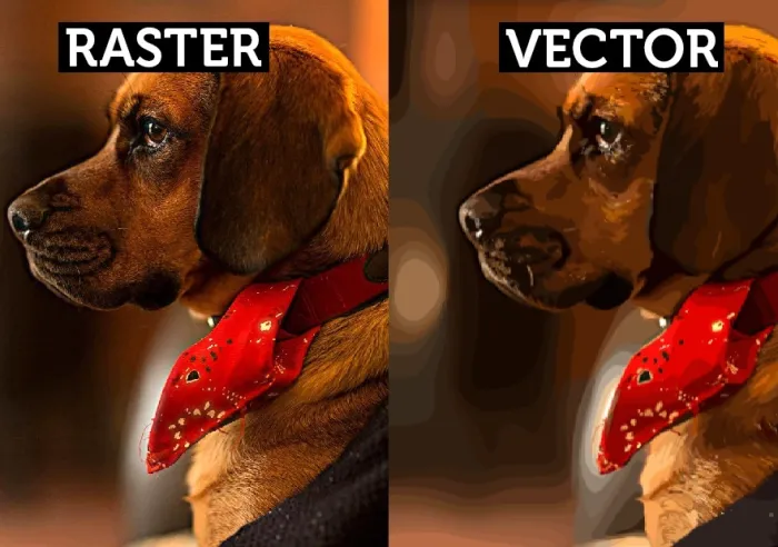 Side-by-side comparison of a dog photo in raster format and vector format