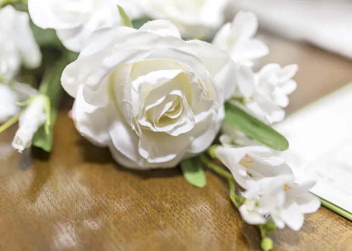 a white flower on a plant