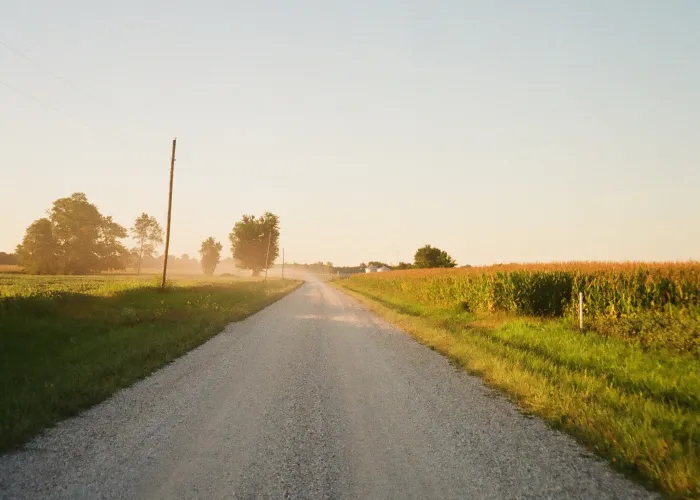 a road with grass on the side