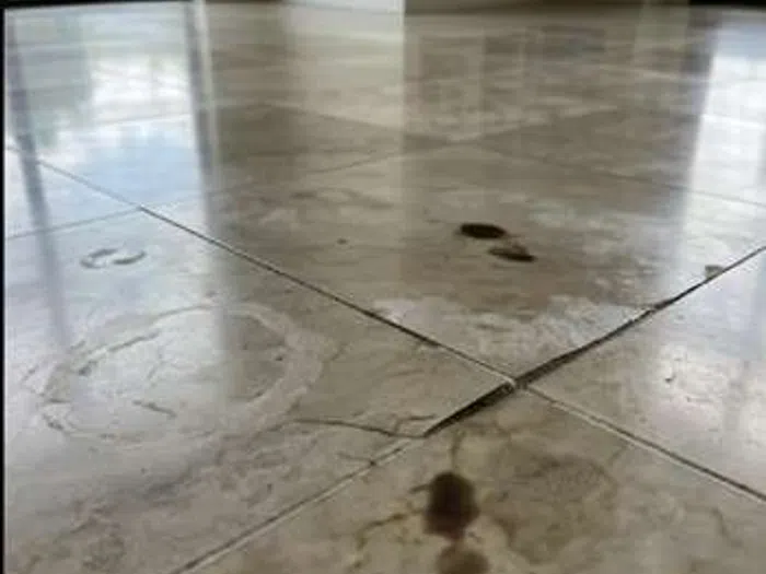 Close-up of dirty, stained marble floor tiles showing dark spots and worn surface before cleaning.