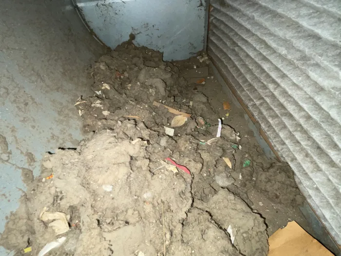 a pile of dirt and debris inside of an HVAC system, behind the filter