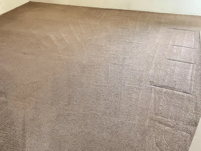 a carpet in a room