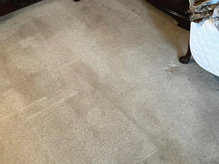 a carpet in a room that was cleaned by Zerorez and removed the stains