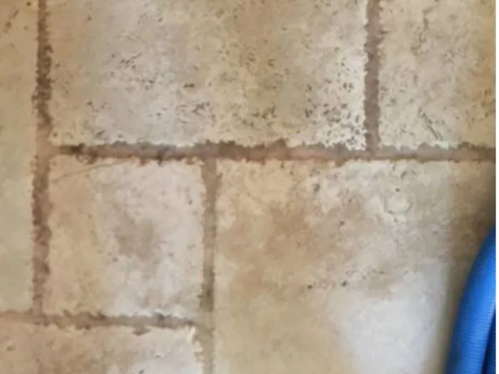 a person's shoes in shoe covers standing on a freshly cleaned tile floor with lighter tan grout lines