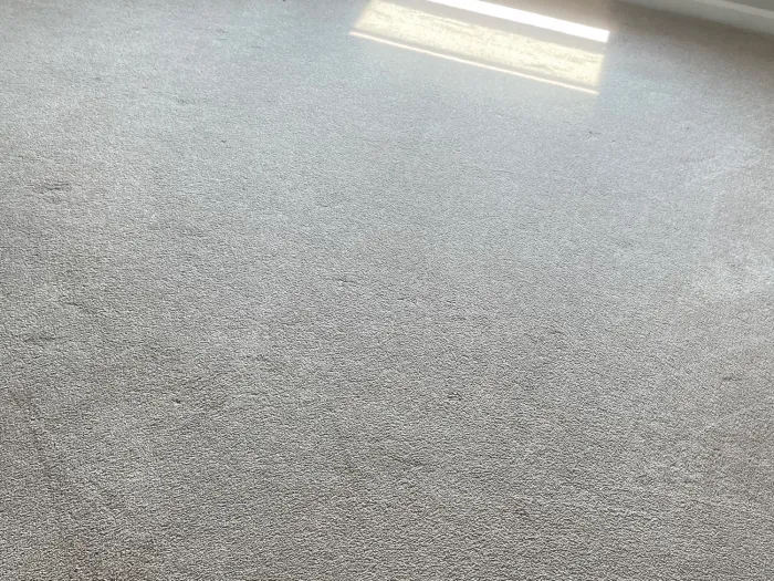 a light gray carpet floor with no more brown stains after it was cleaned by zerorez