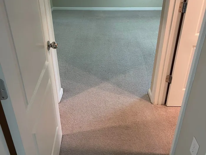 a carpeted hallway with white doors showing off the after cleaning of its white carpet after Zerorez cleaned it