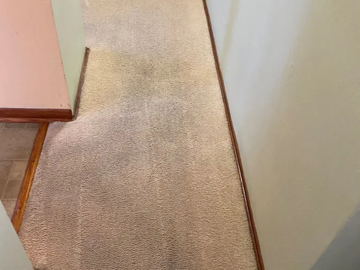 a carpeted hallway with a white wall that has carpet trails lightened