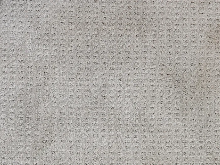 light gray textured carpet slightly dingy