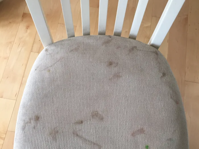 Grey dining room chair seat cushion with brown stains on it