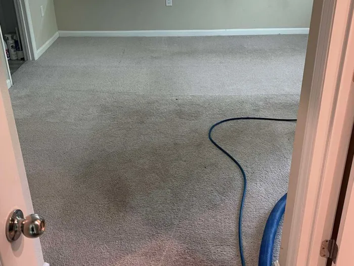 bedroom carpet with dirty spots