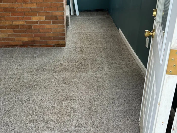 a carpet in a room with a brick wall without stained carpeting