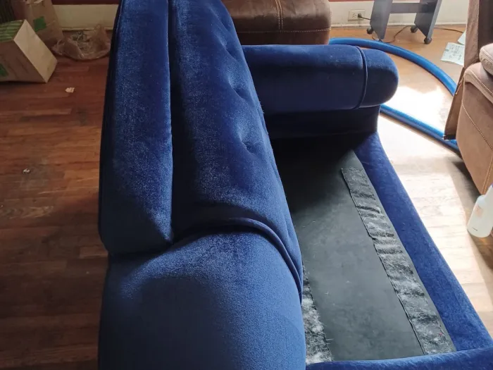 the back of a blue suede couch after being cleaned by Zerorez upholstery cleaning