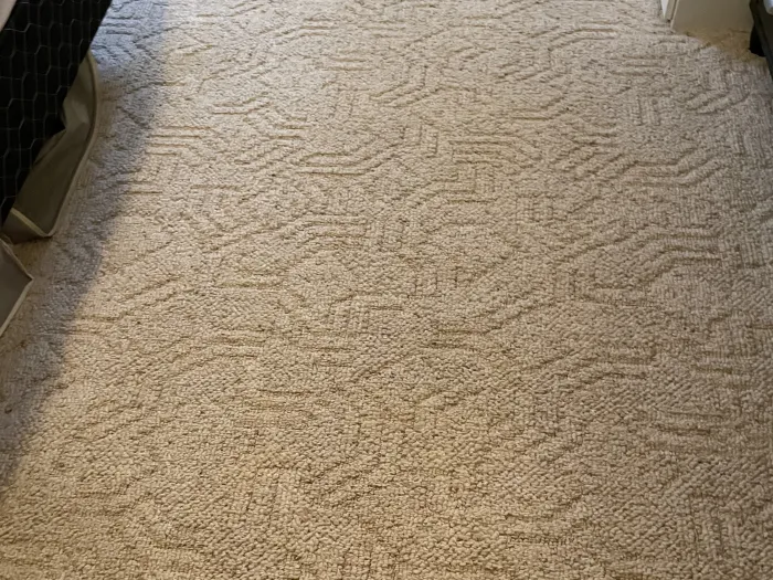 a textured carpet in a room perfectly cleaned and free of brown stains