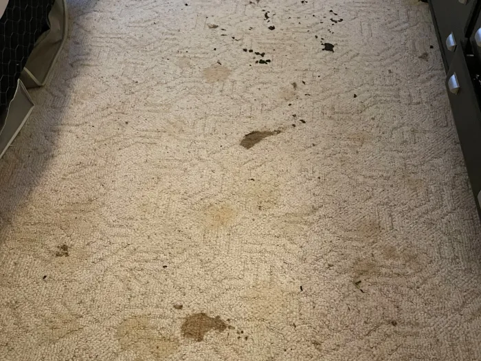 a carpeted room with dirty brown and yellow spots and stains