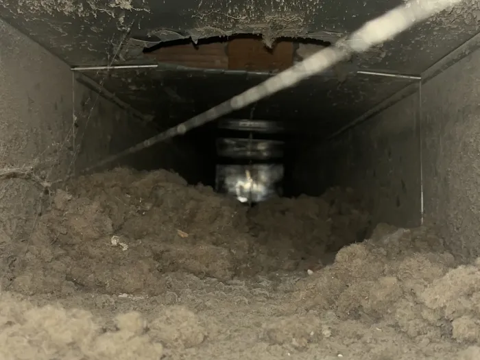 inside a wood and metal HVAC system, with visible piles of brown lint, dirt, and debris