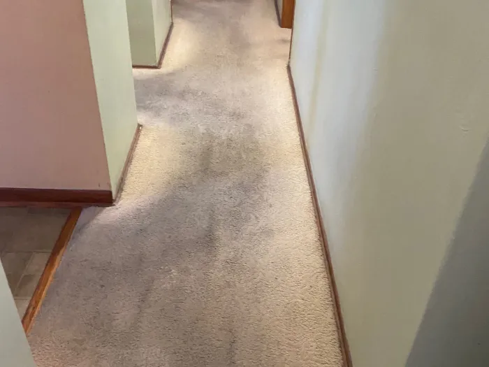 a carpeted hallway with a door with dark traffic trails