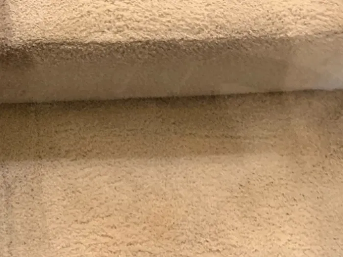 a set of white stairs after Zerorez carpet cleaning