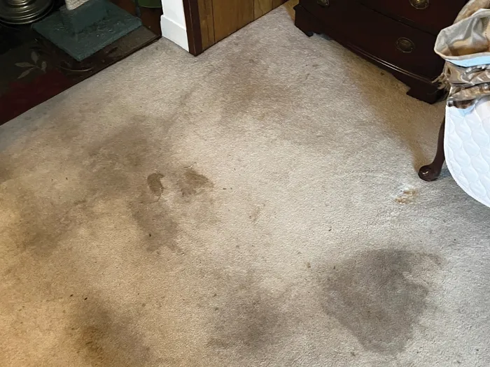 a room with a carpet and a dresser with large gray stains