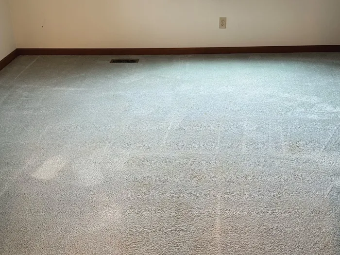 a room with a window and freshly Zerorez cleaned carpet