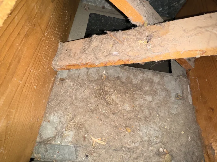 close up interior shot of HVAC wood and metal vents, covered with debris and gunk