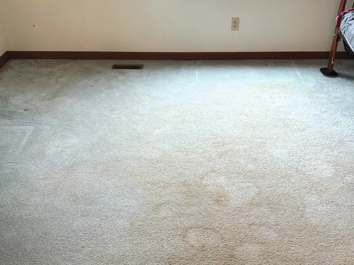 a room with a window and carpet and brown stain blotches